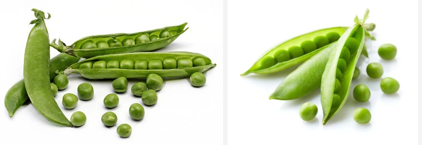 Pea Protein Peptide Powder.jpg